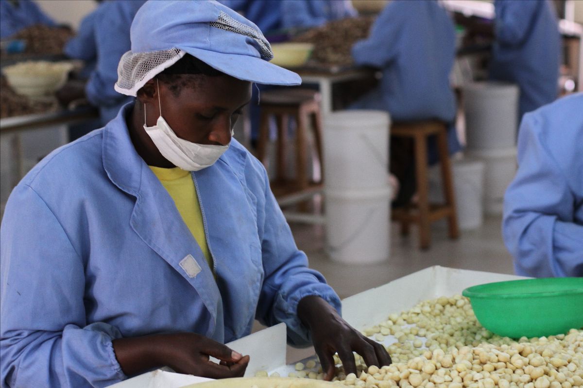 UK International Development Fund supports CEP Partner